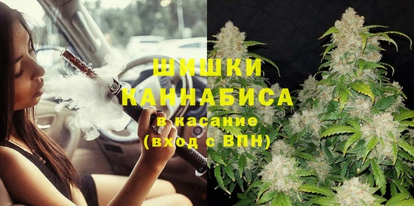 прущий лед Новозыбков