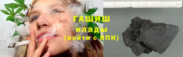 прущий лед Новозыбков