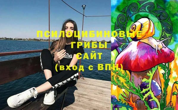 стафф Богданович