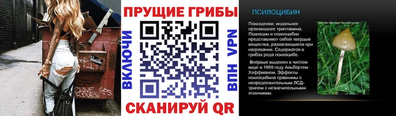купить   Кинель  Галлюциногенные грибы ЛСД 