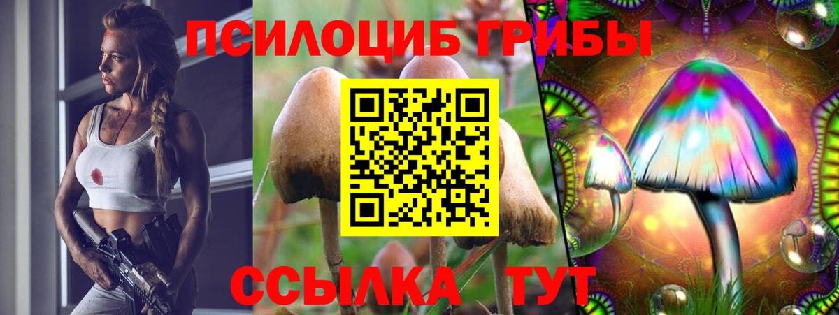 МЕФ Кинель