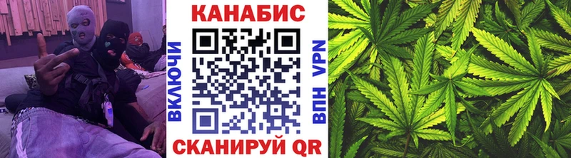 Бошки Шишки VHQ  Кинель 